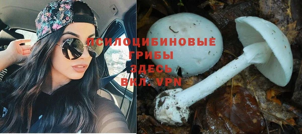 кокаин колумбия Магас