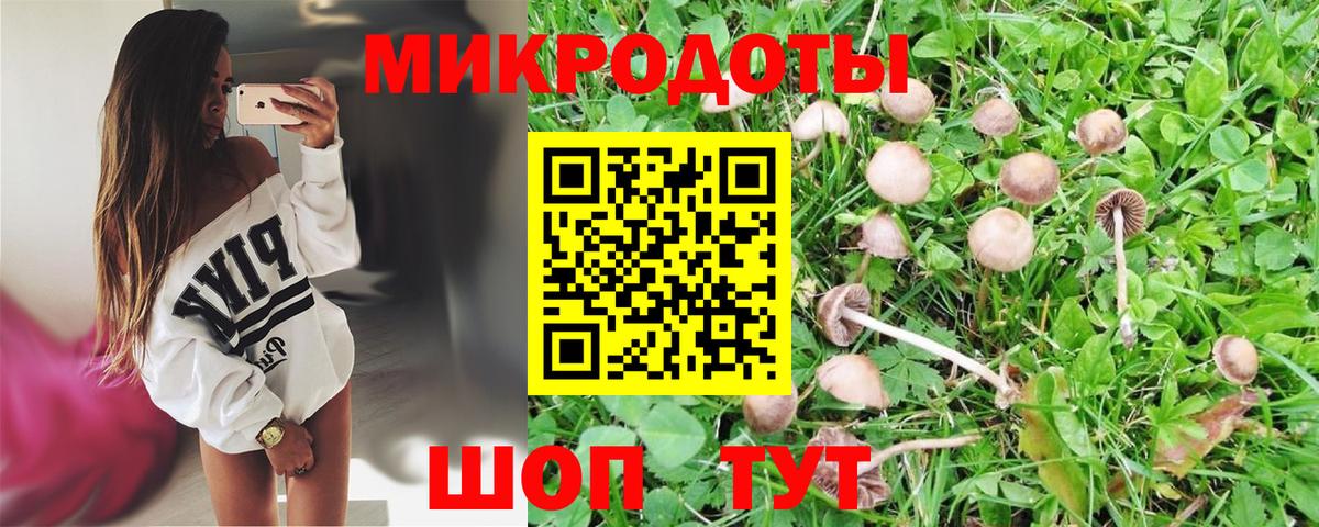 Галлюциногенные грибы мицелий  магазин    Строитель  Вход с VPN 